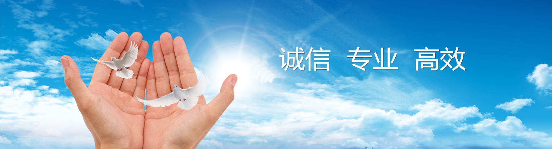圖片1